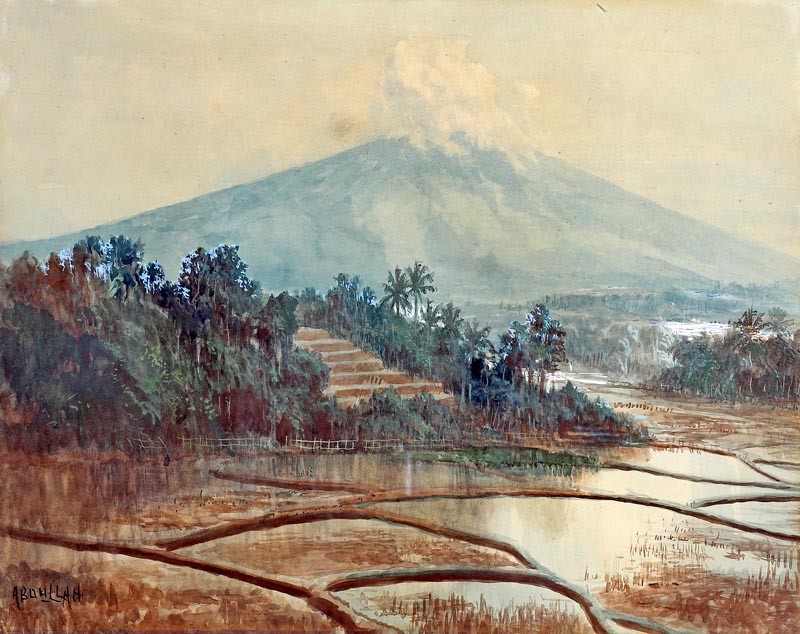 Landscape of Paddy Field by Abdullah Suriosubroto