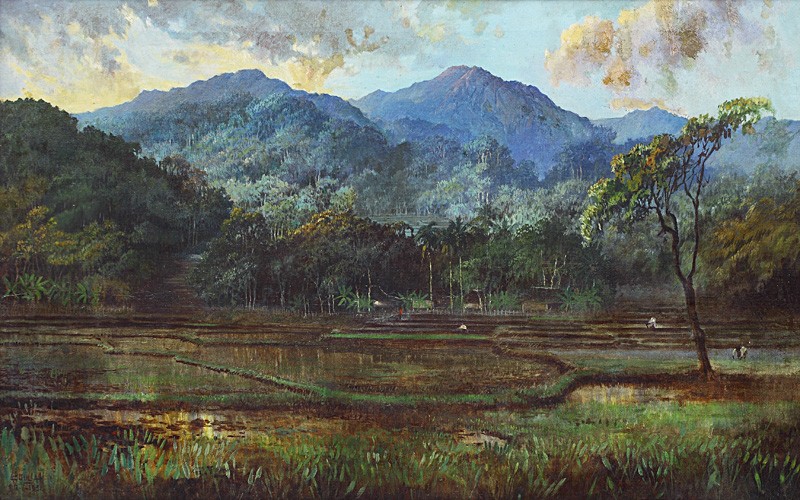 Paddy Field by Abdullah Suriosubroto