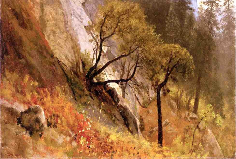 Landscape Study. Yosemite, California by Albert Bierstadt