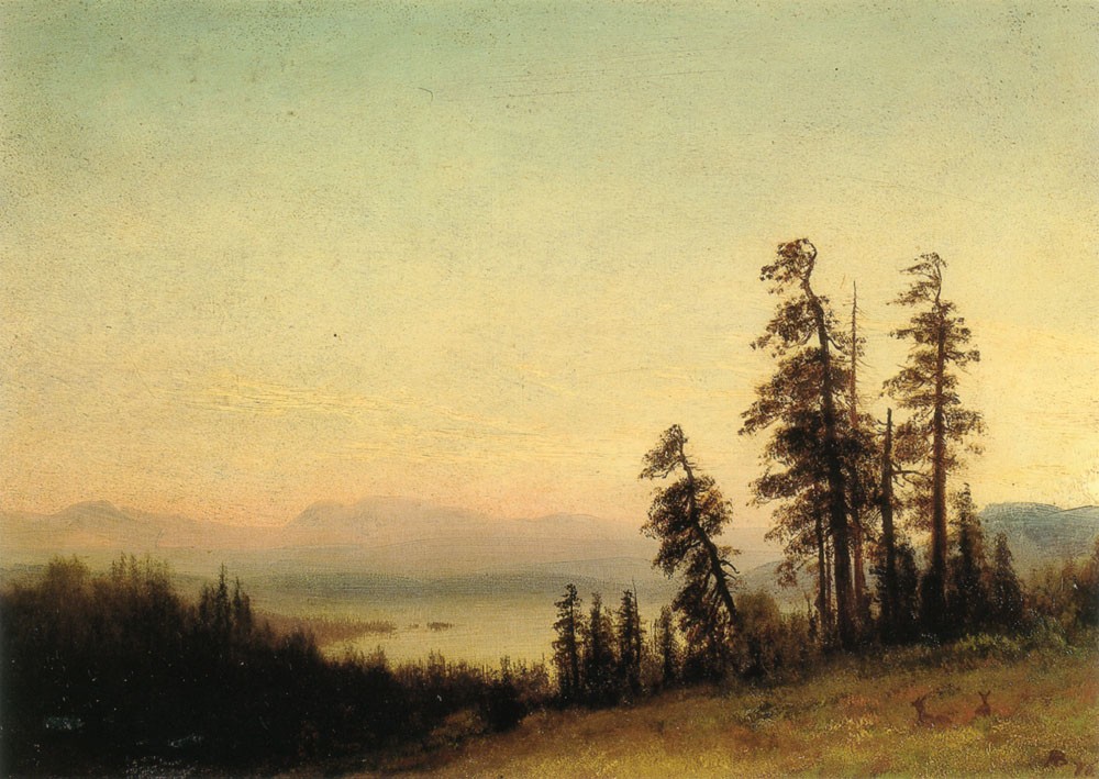 Landscape With Deer by Albert Bierstadt