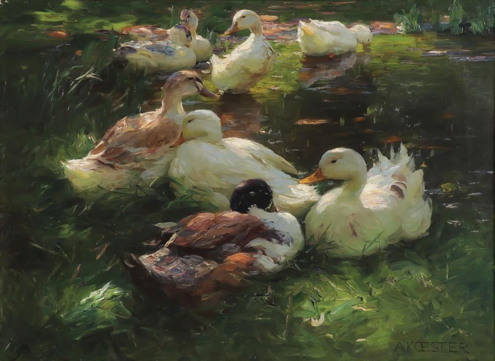 DUCKS by Alexander Koester