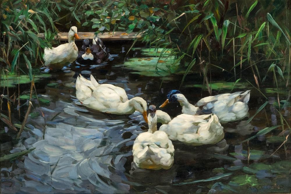 Six ducks by Alexander Koester