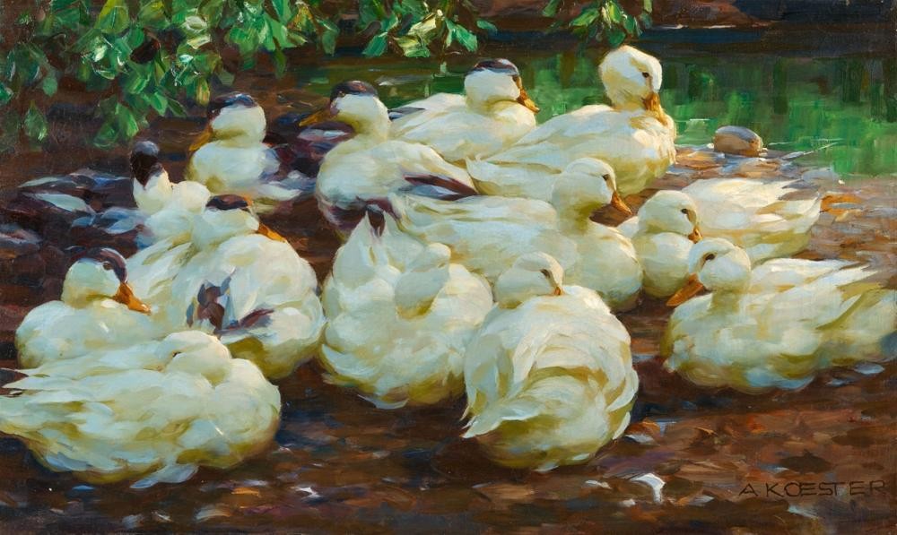 White Ducks by a Pond by Alexander Koester