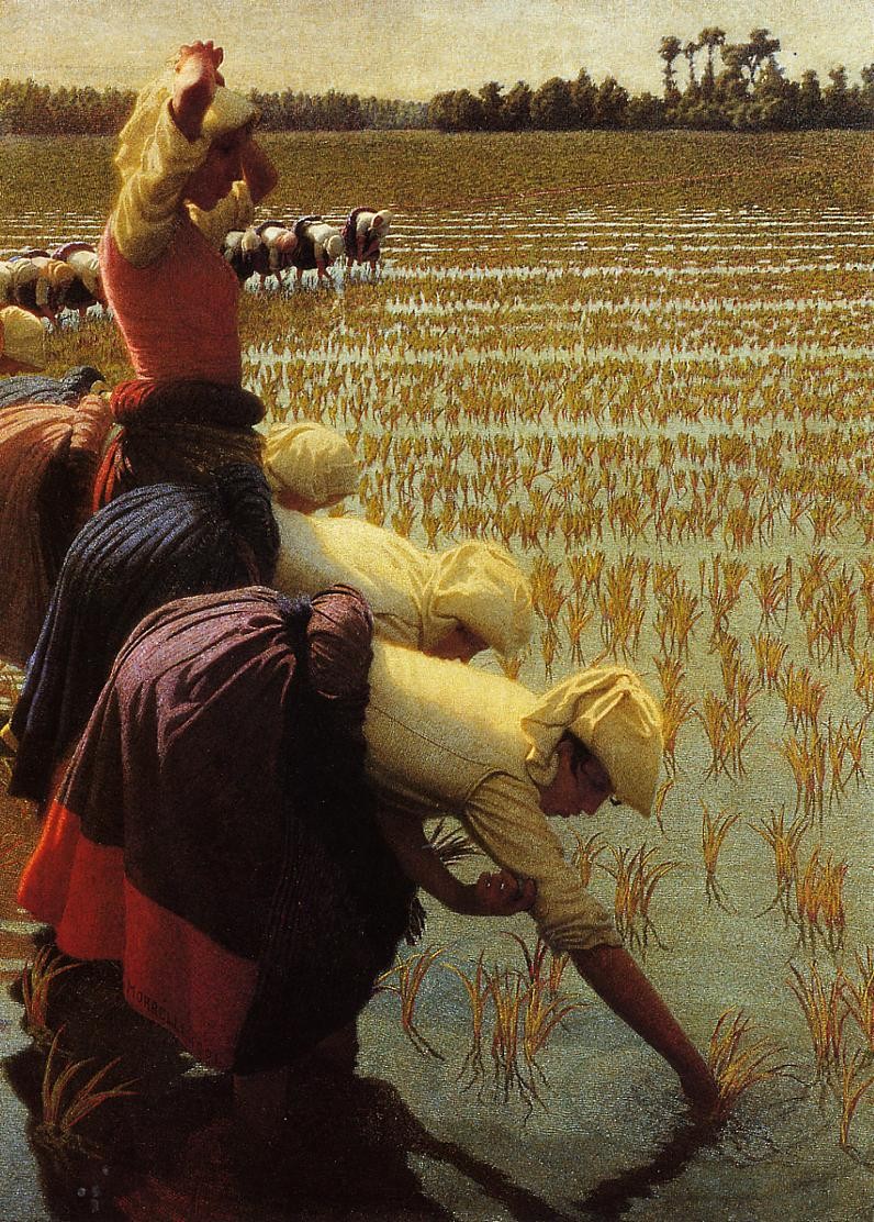 In the rice fields by Angelo Morbelli