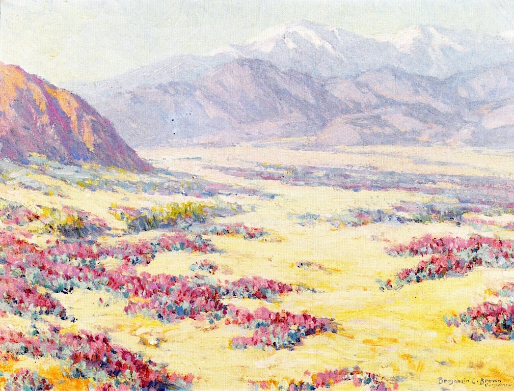 California Desert Wildflowers with Mountains Beyond by Benjamin Brown