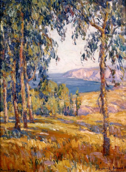 Laguna Vista by Benjamin Brown
