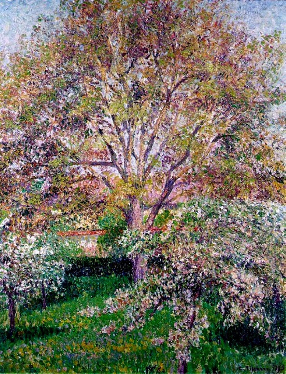 Wallnut and Apple Trees in Bloom at Eragny by Camille Pissarro
