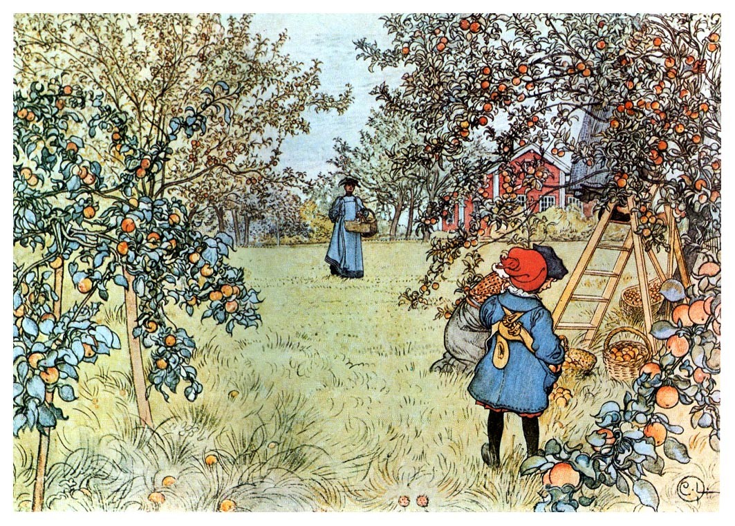 The Apple Harvest by Carl Larsson
