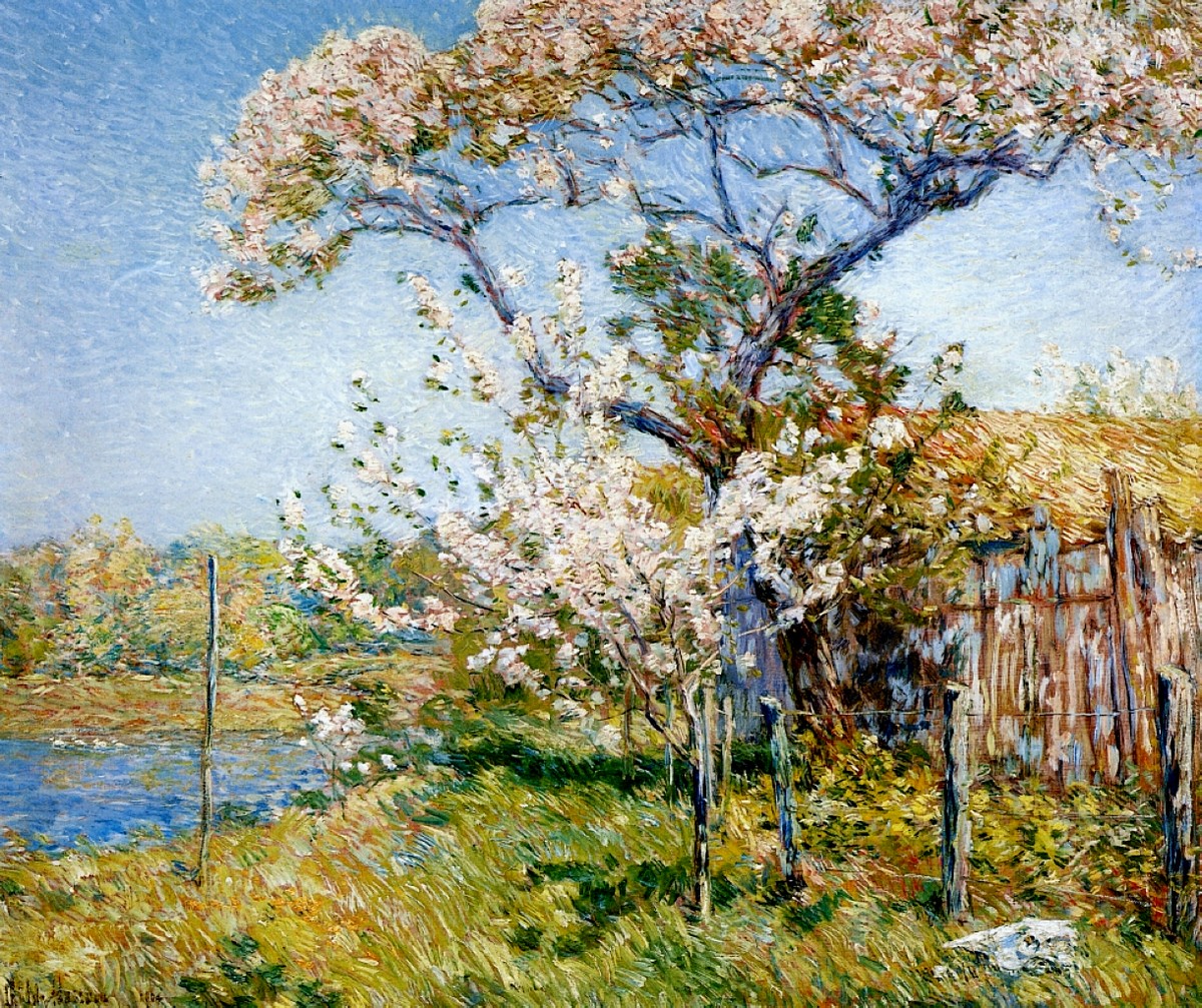 Apple Trees in Bloom, Old Lyme by Childe Hassam