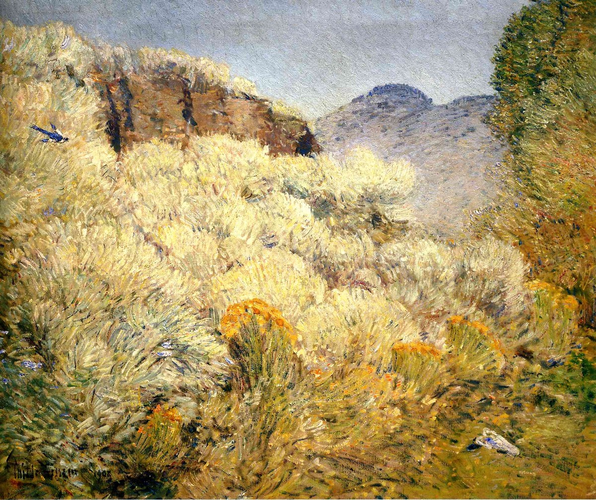 Harney Desert by Childe Hassam