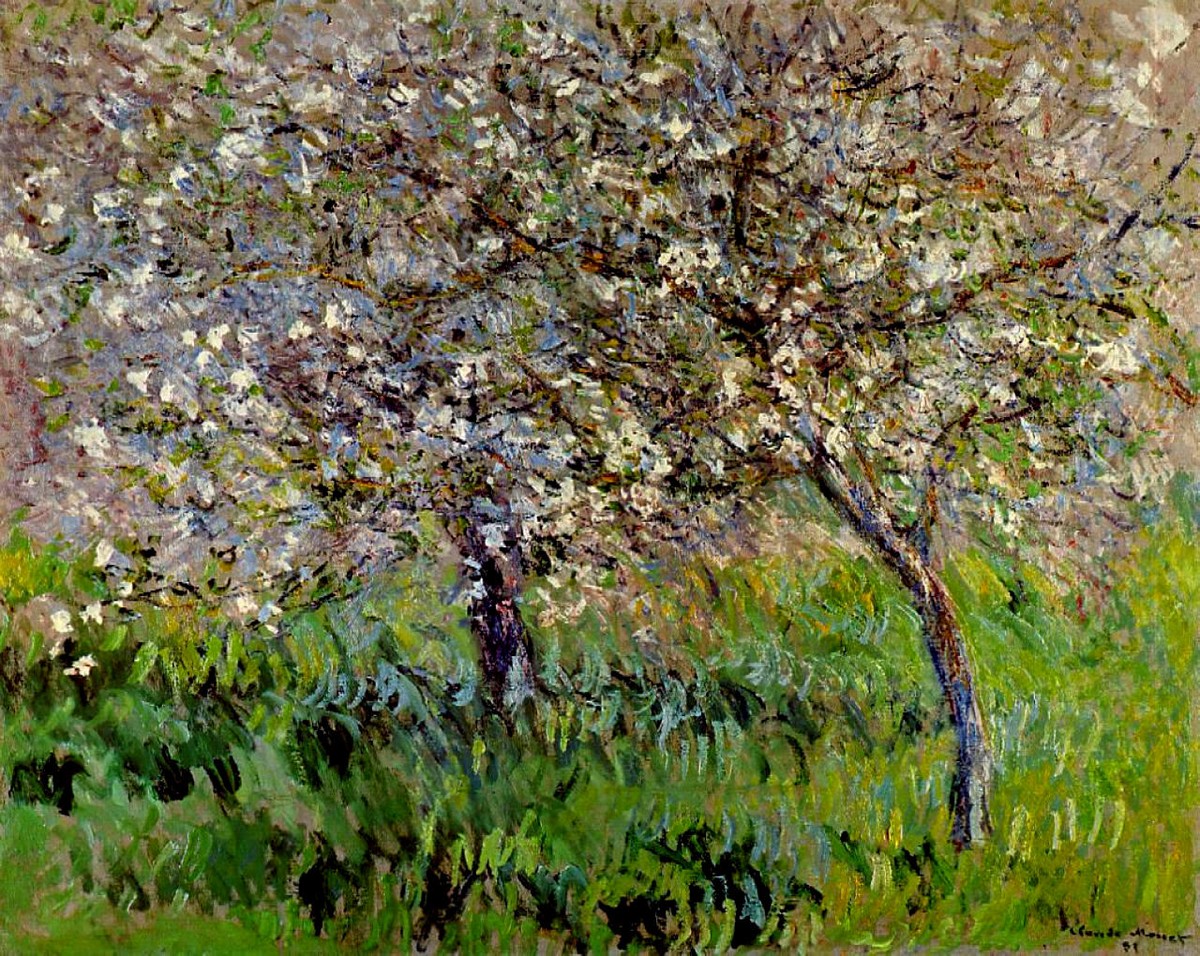 Apple Trees in Bloom at Giverny by Claude Monet