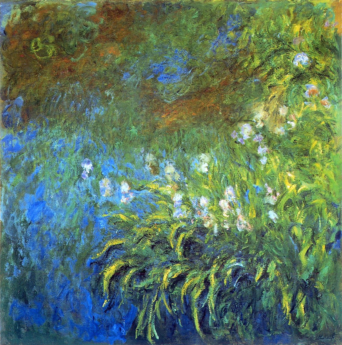 Iris at the Sea-Rose Pond by Claude Monet