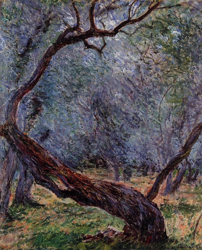 Olive Trees (Study) by Claude Monet