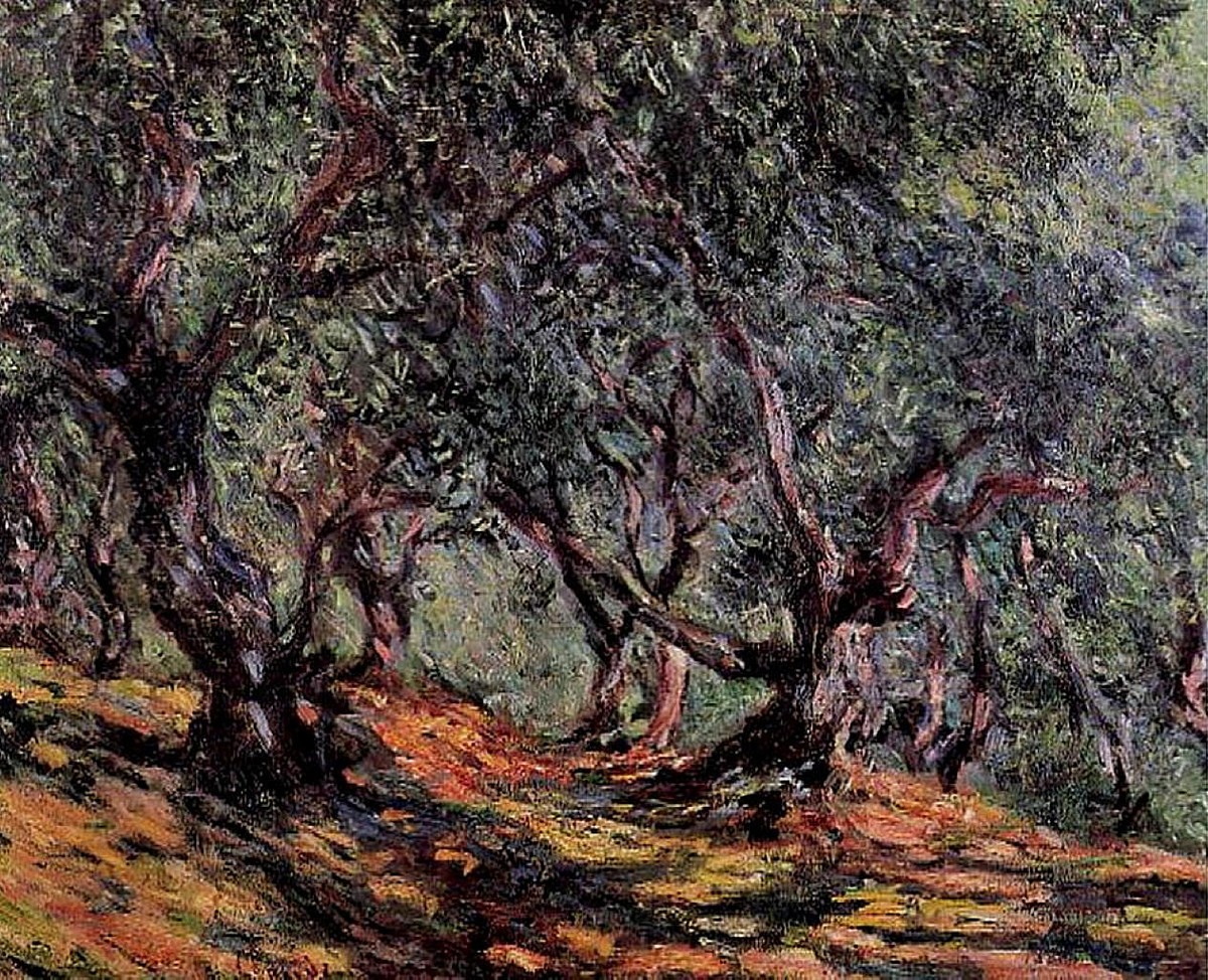 Olive Trees in Bordigher by Claude Monet