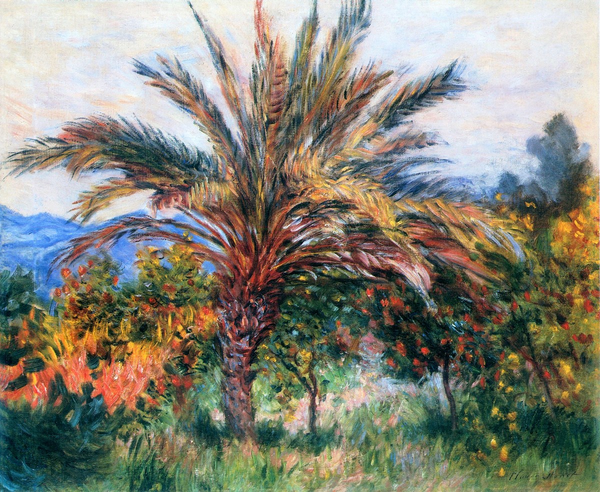 Palm Tree at Bordighera by Claude Monet