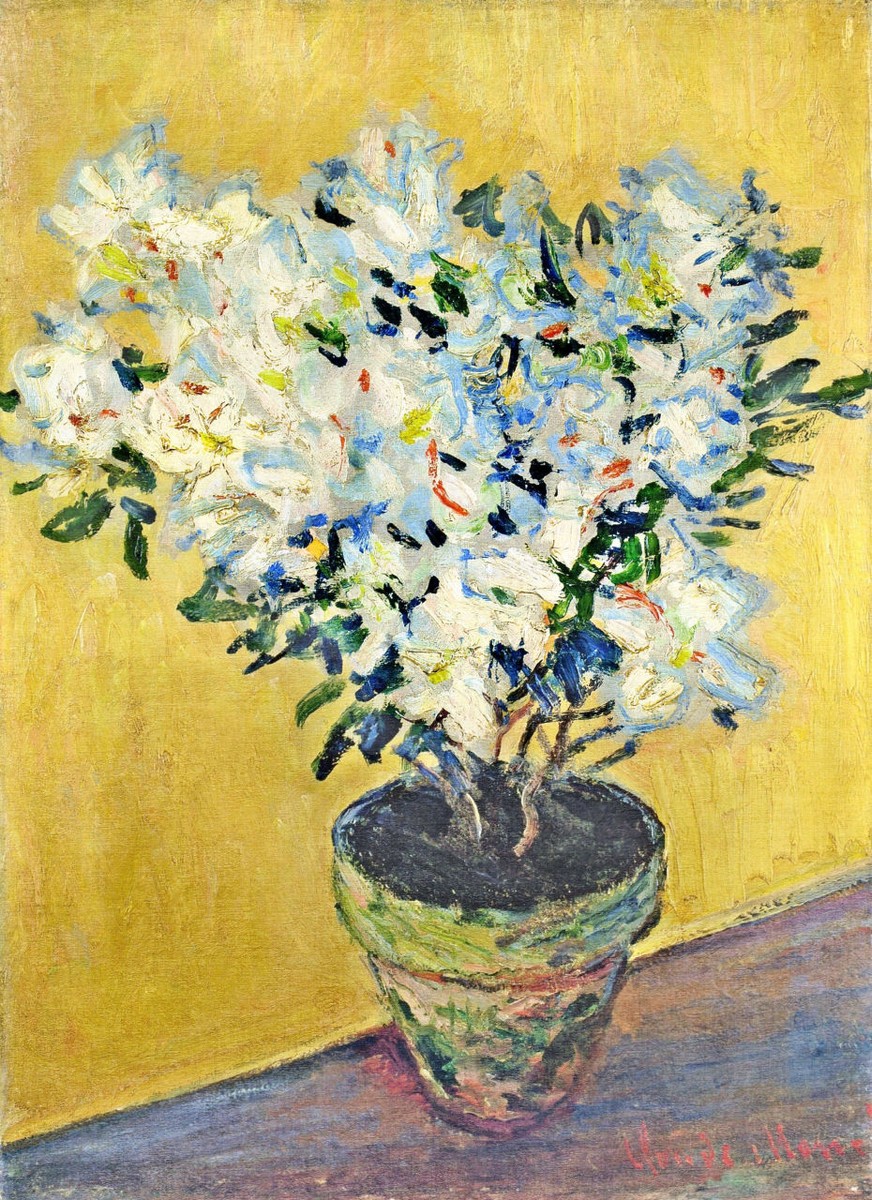 White Azaleas in a Pot by Claude Monet