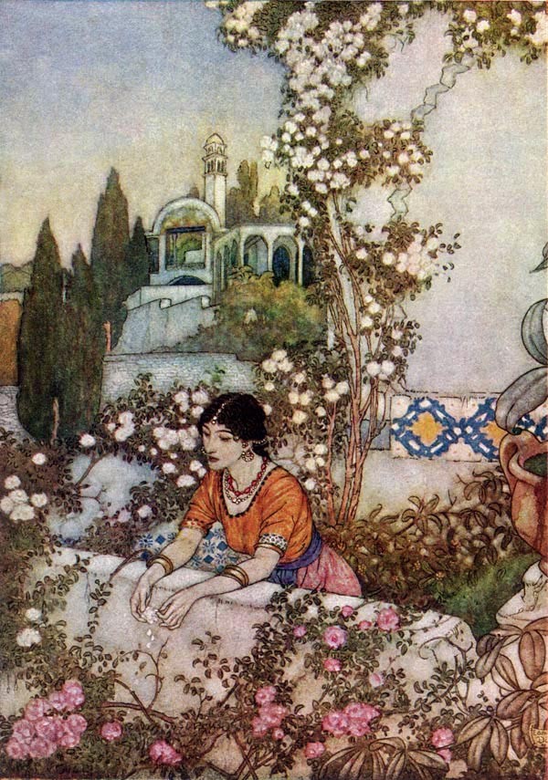 Blowing Rose, The Rubaiyat of Omar Khayyam by Edmund Dulac