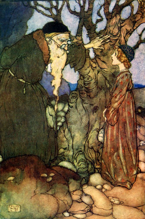The Bird of Shadow and the Sunbird - illustration to Fairies I Have Met by Edmund Dulac