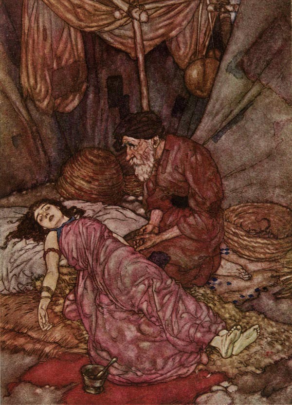 The Face of wretched Man, The Rubaiyat of Omar Khayyam by Edmund Dulac