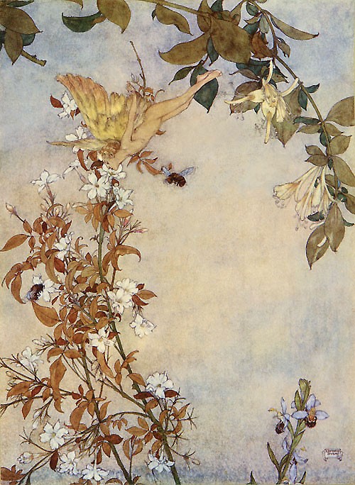 The Tempest: Ariel and the Bee by Edmund Dulac