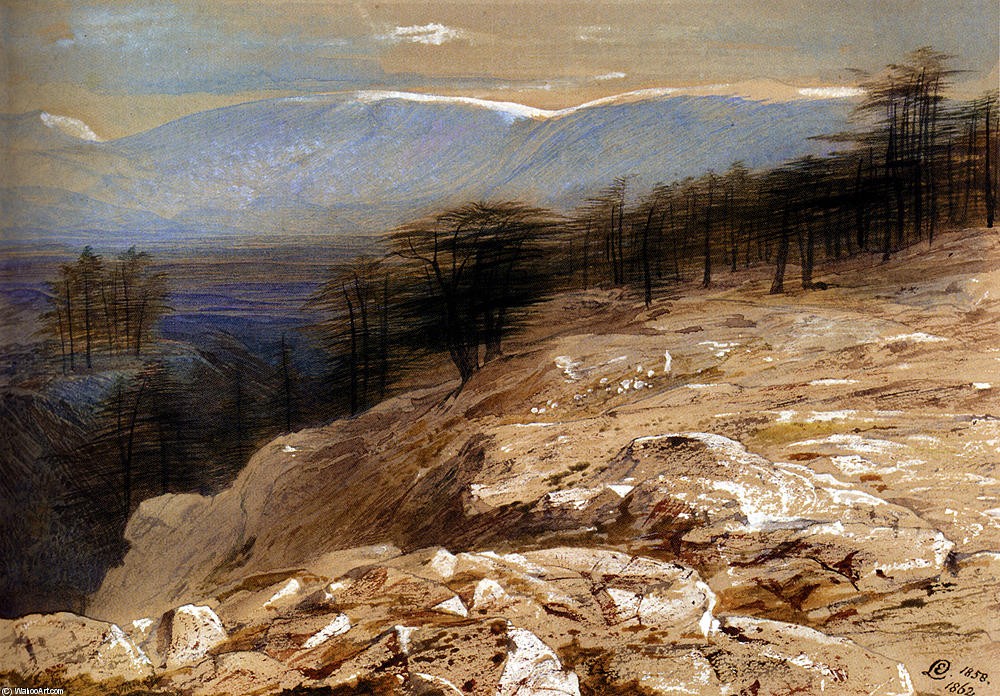 The Cedars Of Lebanon by Edward Henry Potthast