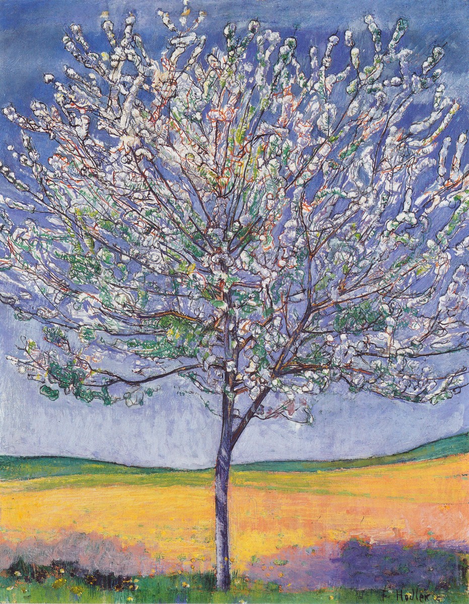 Cherry Tree in Bloom by Ferdinand Hodler