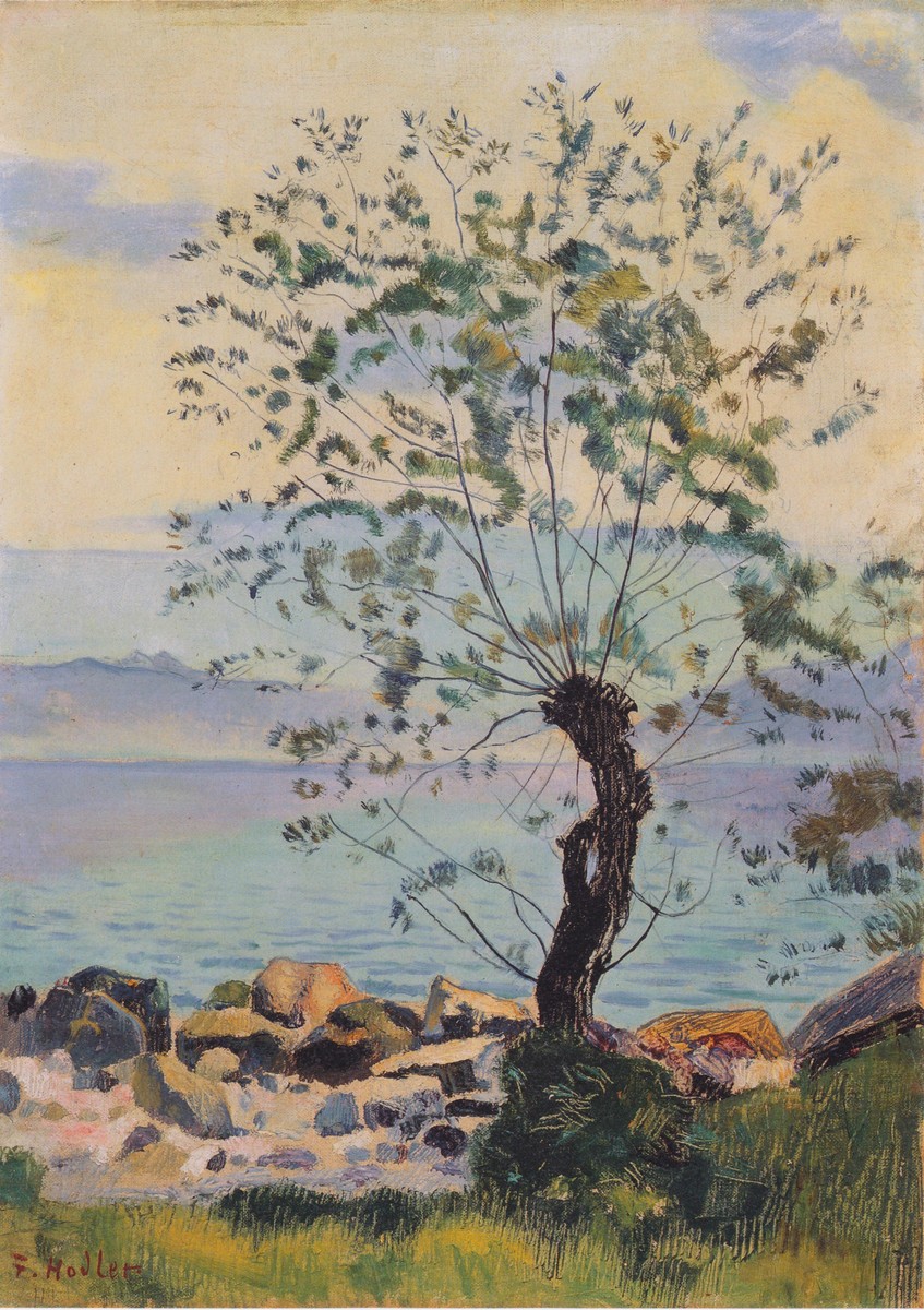 Willow tree by the lake by Ferdinand Hodler