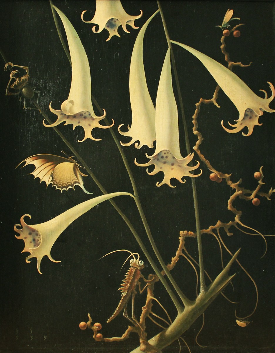 Blumen Und Insekte by Franz Sedlacek