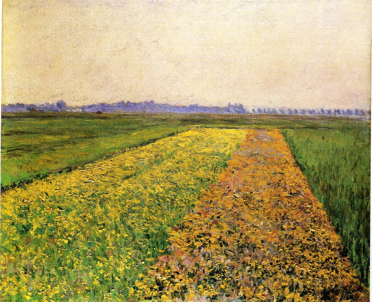 The Yellow Fields at Gennevilliers by Gustave Caillebotte