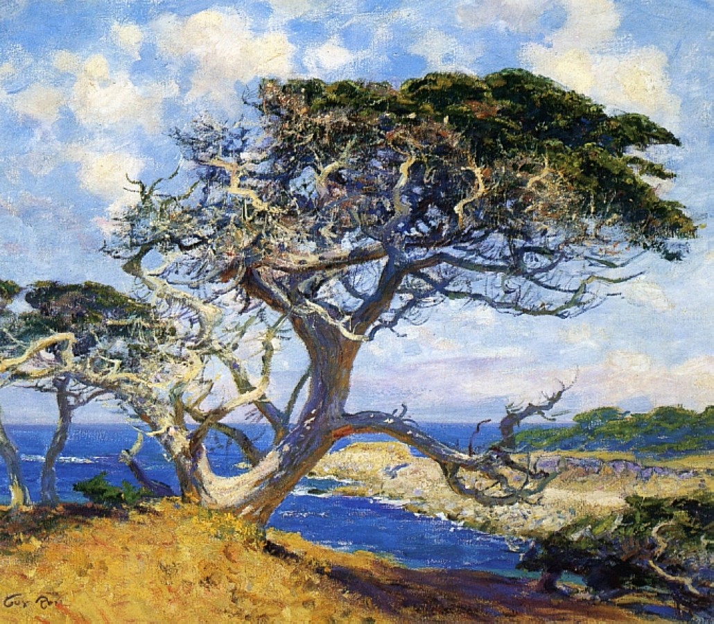 Monterey Cypress by Guy Rose