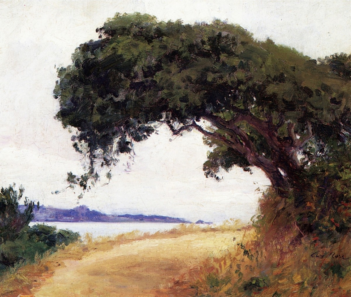 Point Lobos, Oak Tree by Guy Rose