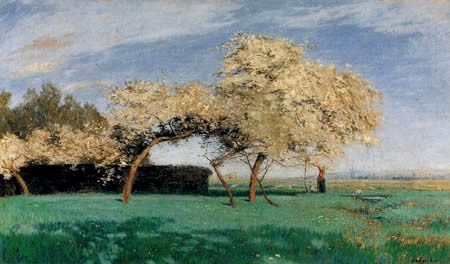 Spring Day by Hans am Ende