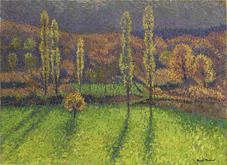 The Prairie by Henri Martin