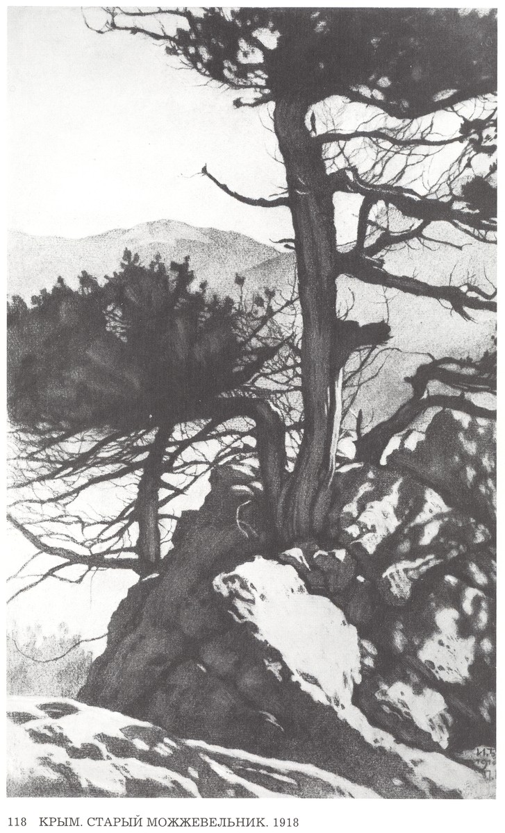 Crimea. Old juniper by Ivan Bilibin