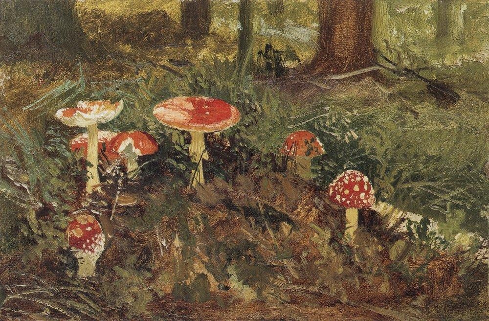 Amanita by Ivan Shishkin