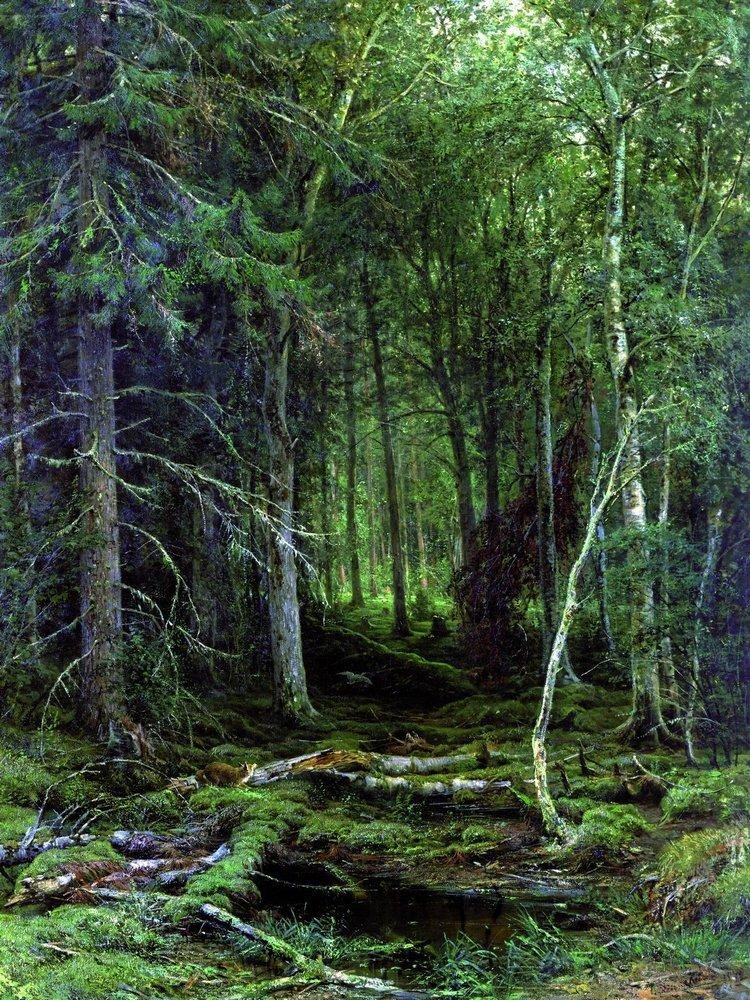 Backwoods by Ivan Shishkin