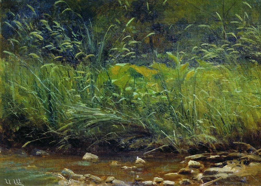 Beach of Pond by Ivan Shishkin