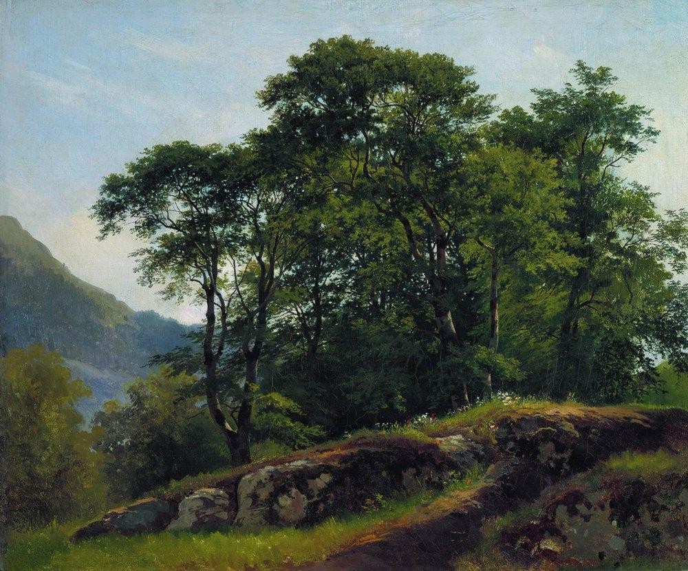 Beech Forest in Switzerland by Ivan Shishkin
