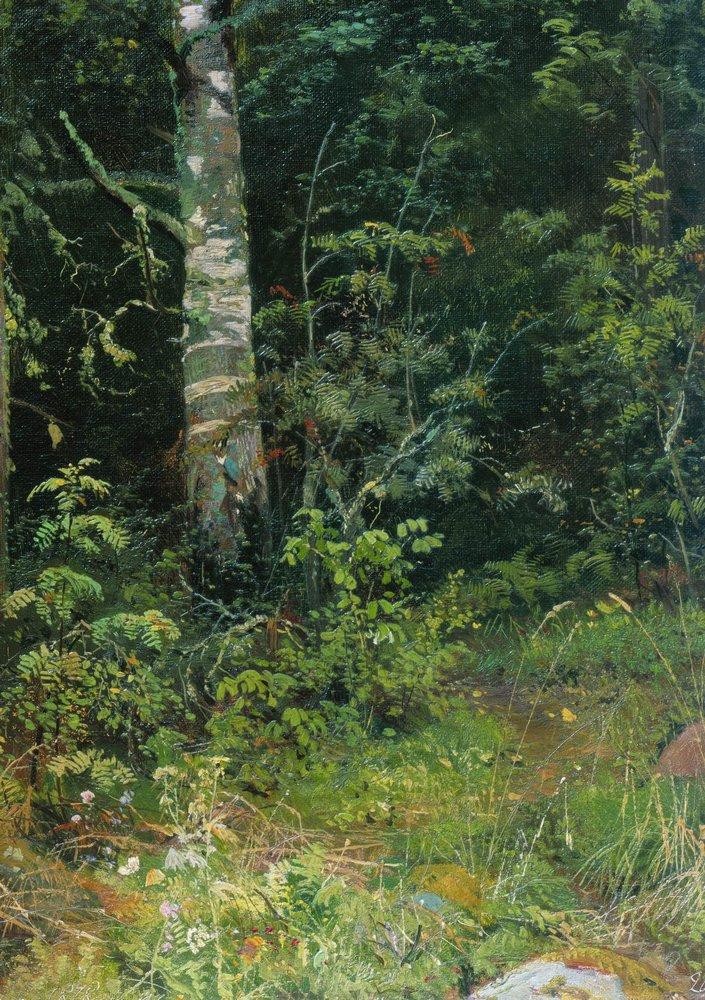 Birch and rowan by Ivan Shishkin