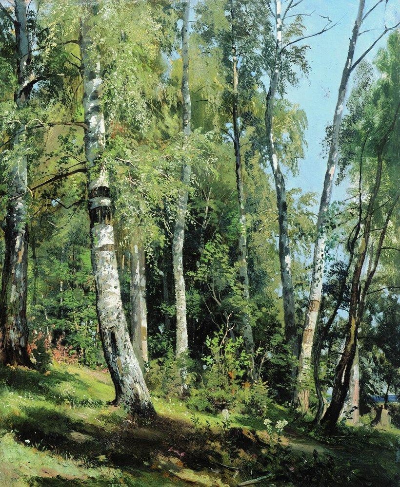Birch Grove by Ivan Shishkin