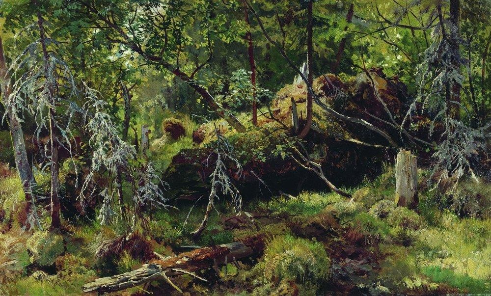 Branches by Ivan Shishkin