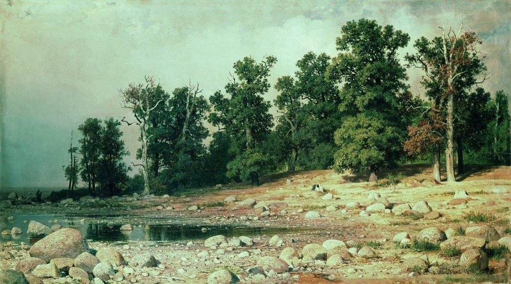 Coast of Oak grove of Peter the Great in Sestroretsk by Ivan Shishkin