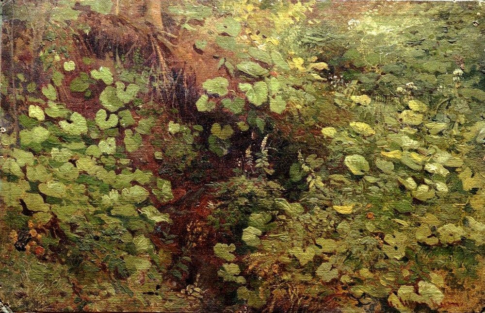 Coltsfoot by Ivan Shishkin