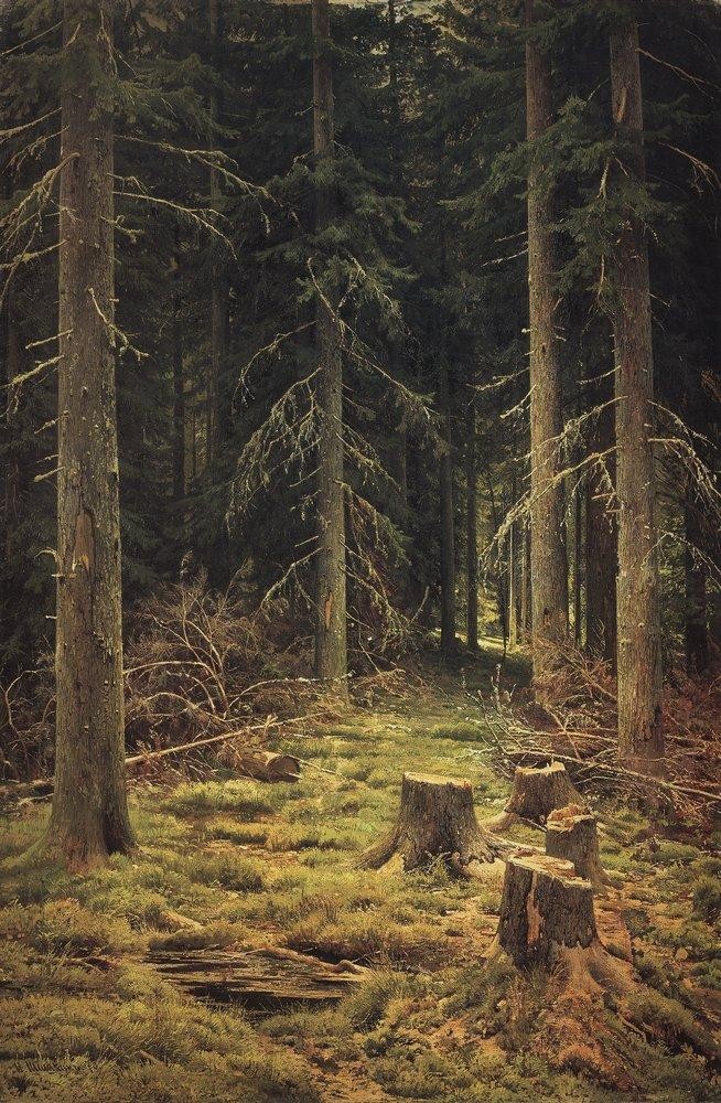 Coniferous Forest by Ivan Shishkin