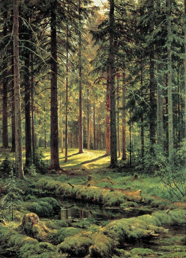 Coniferous Forest. Sunny Day by Ivan Shishkin