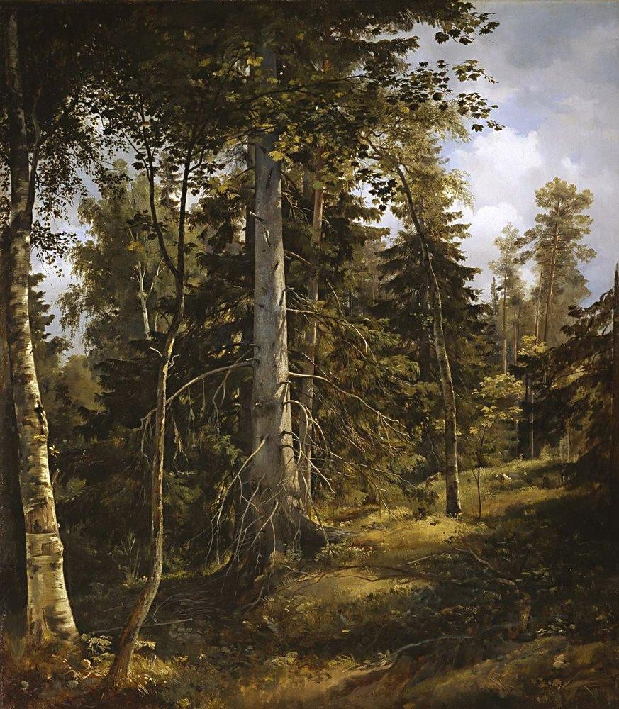 Covert by Ivan Shishkin