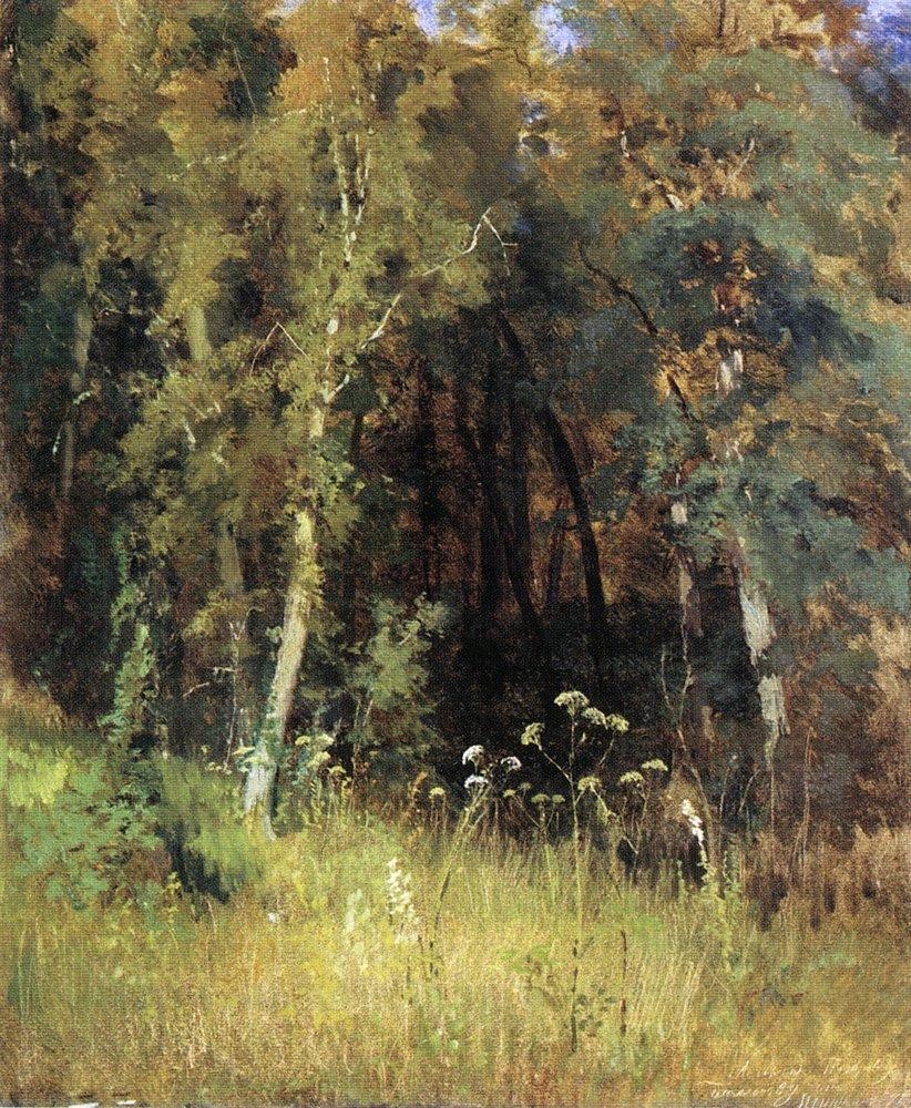 Covert by Ivan Shishkin