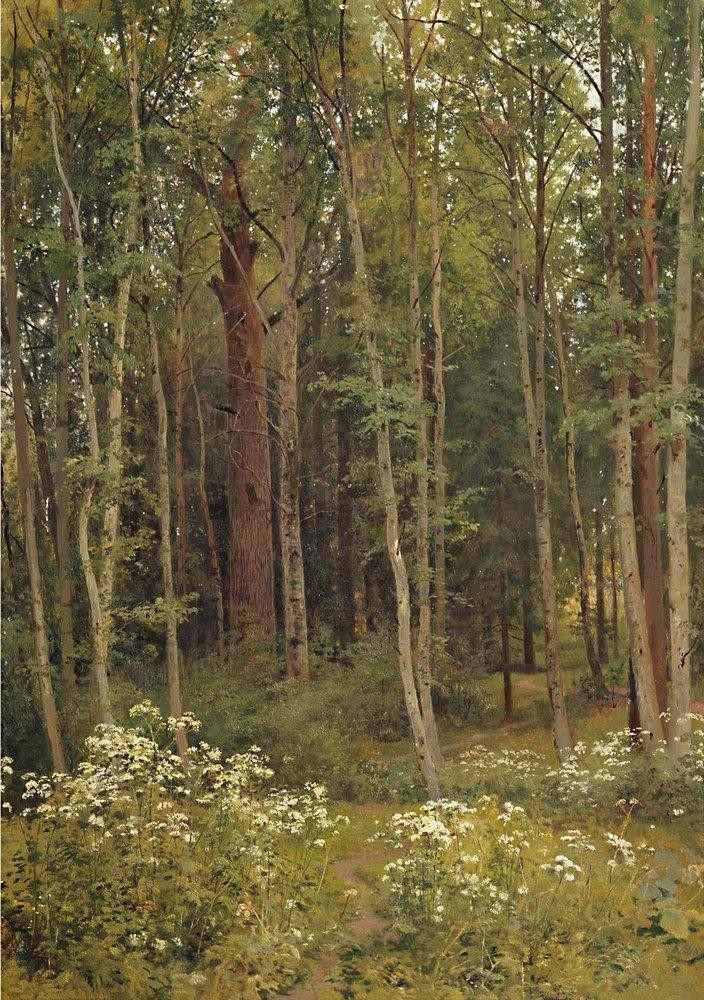 Covert by Ivan Shishkin