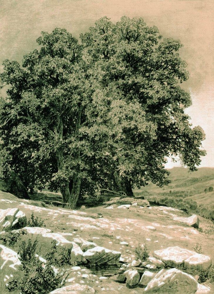 Crimean Nut-Tree by Ivan Shishkin