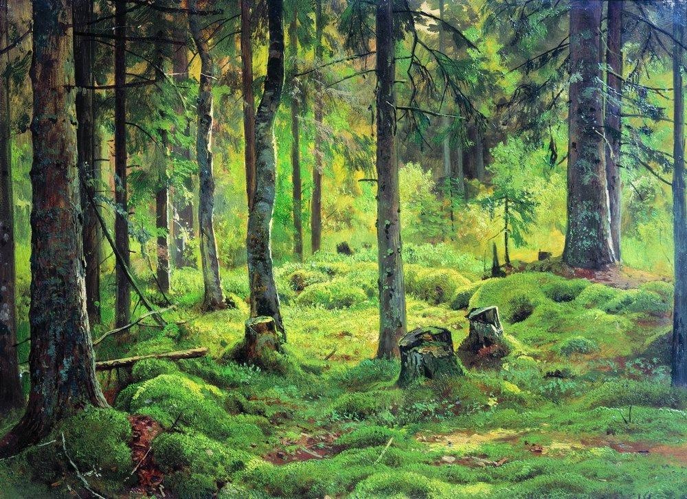 Deadwood by Ivan Shishkin